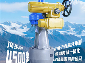 4500米！良固閥門集團服務全球海拔最高的光熱電站